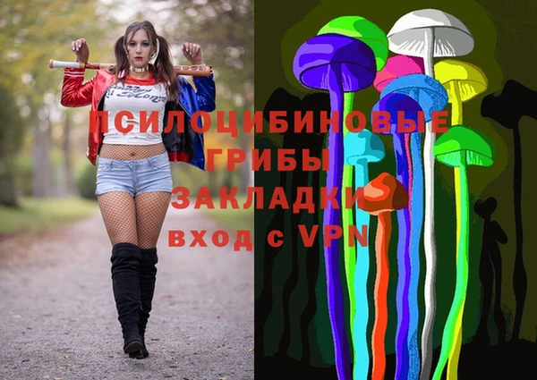 2c-b Богородск
