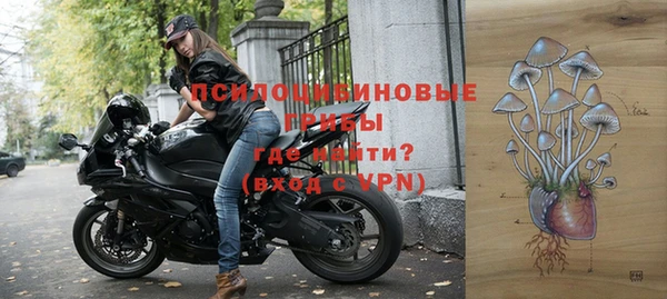 СК Богородицк