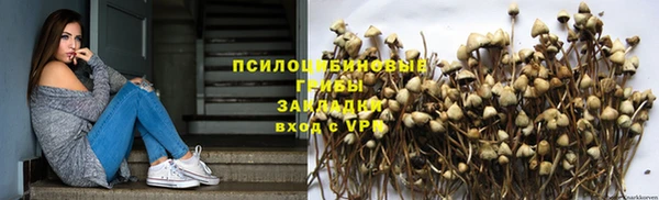 СК Богородицк