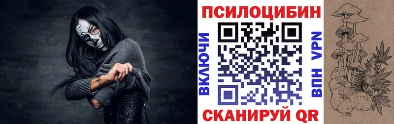 KRAKEN маркетплейс  Кировск  Псилоцибиновые грибы Psilocybe 