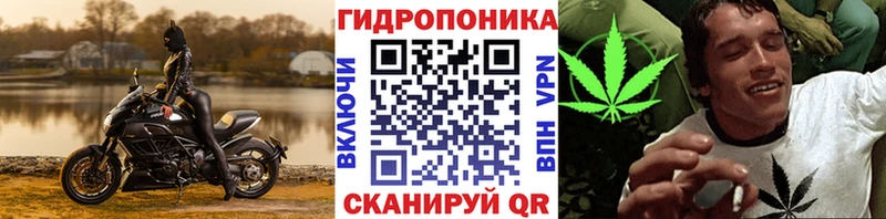 Бошки марихуана Bruce Banner  цена наркотик  Кировск 